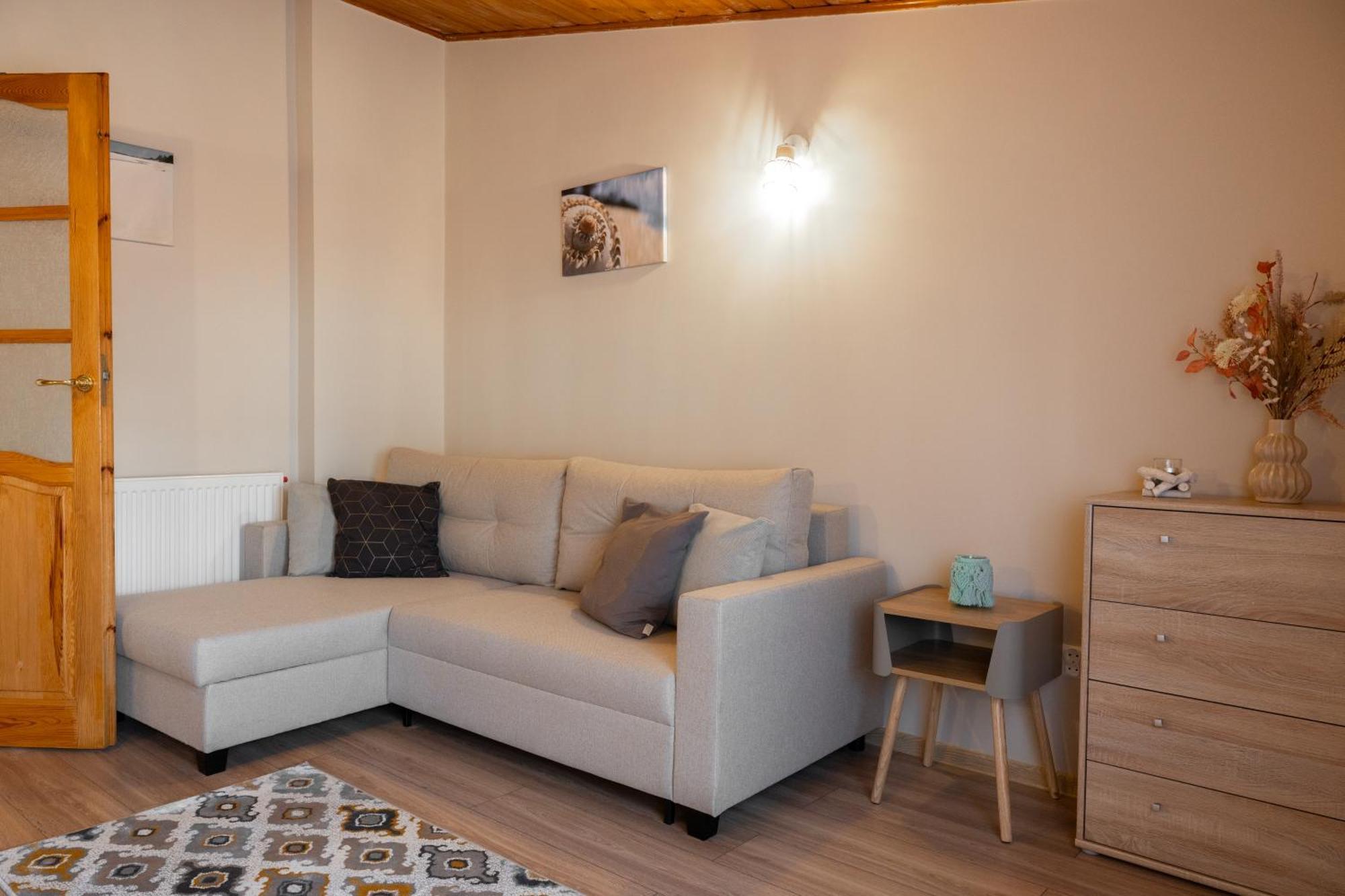 Apartament U Ani 1 Дзвижино Экстерьер фото